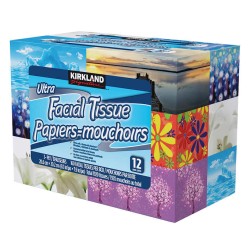Kirkland Facial Tissue 3-Ply 160 Sheets 12's