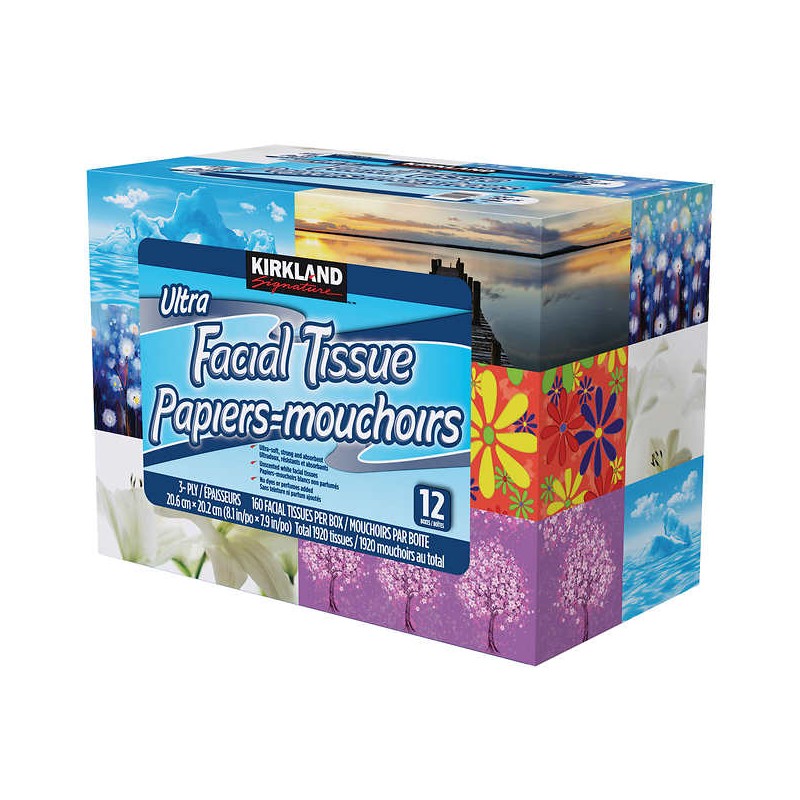 Kirkland Facial Tissue 3-Ply 160 Sheets 12's