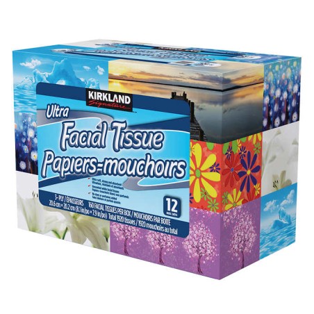 Kirkland Facial Tissue 3-Ply 160 Sheets 12's